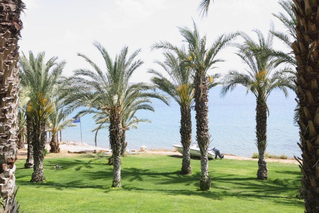 Photo of Others in Pegeia