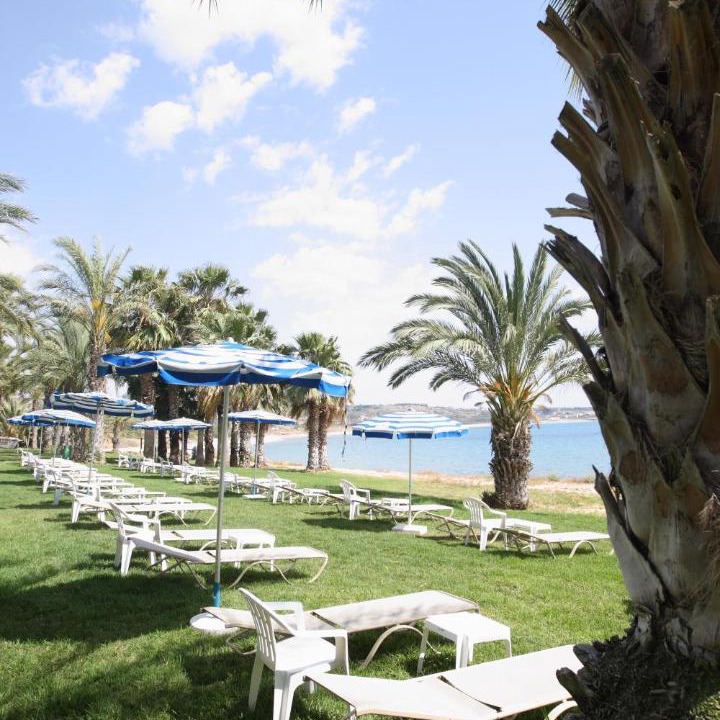 Photo of Others in Pegeia