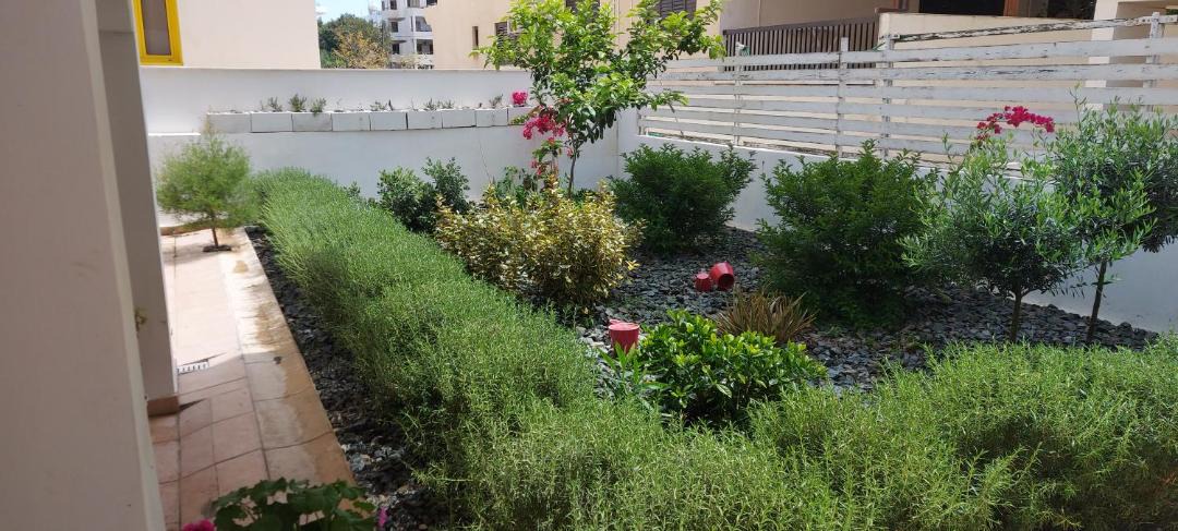 Photo of Others in Larnaca