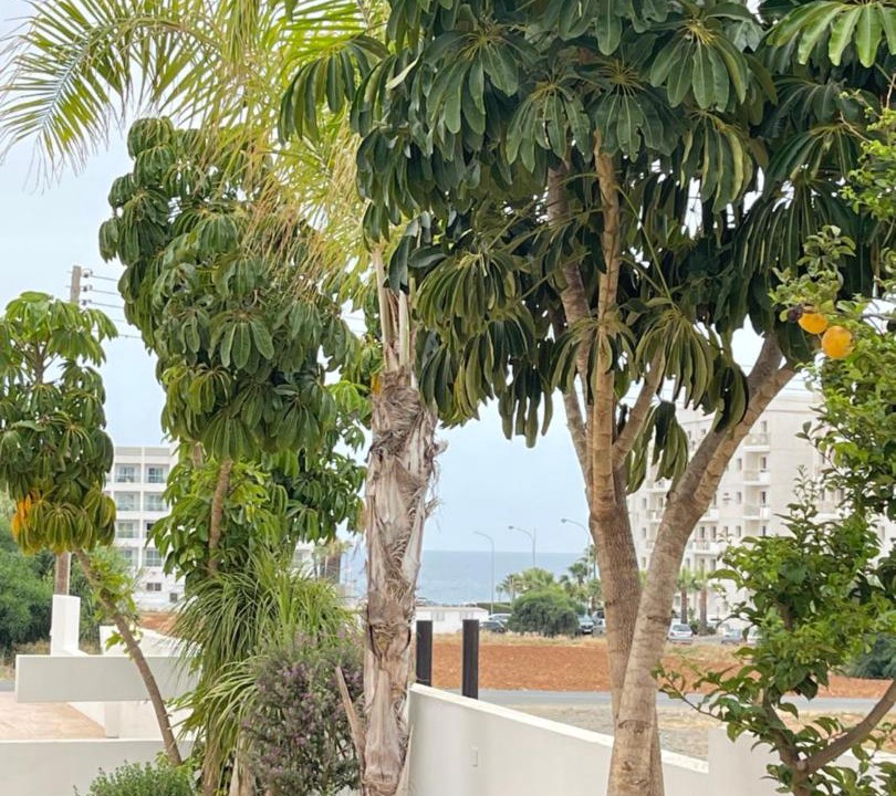 Photo of Others in Protaras