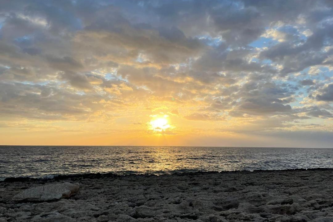 Photo of Others in Cape Greko