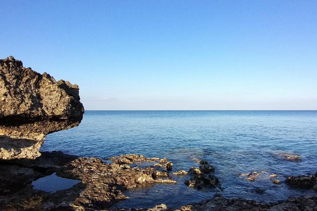 Photo of Others in Cape Greko