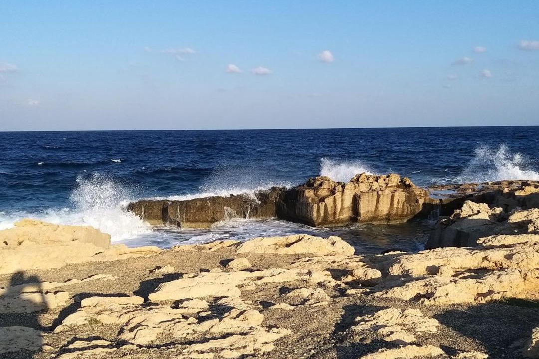 Photo of Others in Cape Greko