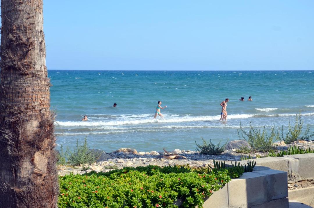 Photo of Others in Meneou