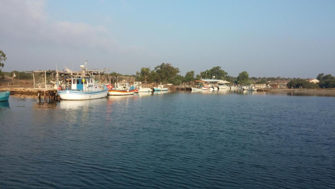 Photo of Others in Ayia Thekla