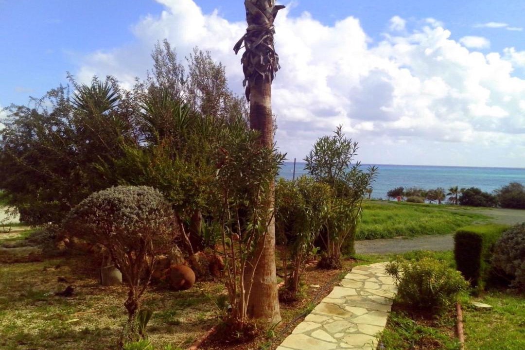 Photo of Others in Pissouri