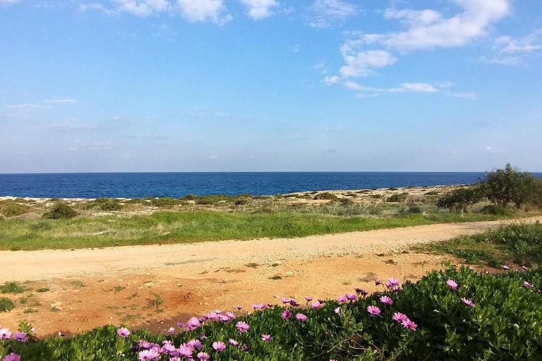 Photo of Others in Cape Greko