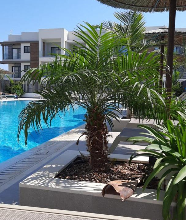Photo of Others in Paralimni