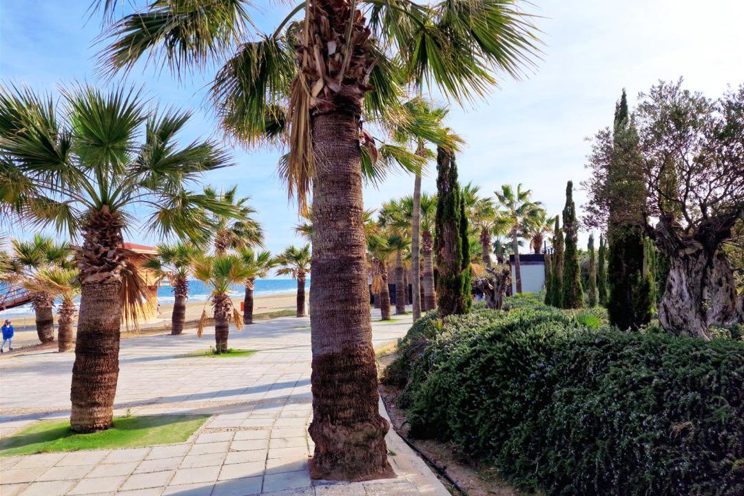 Photo of Others in Larnaca