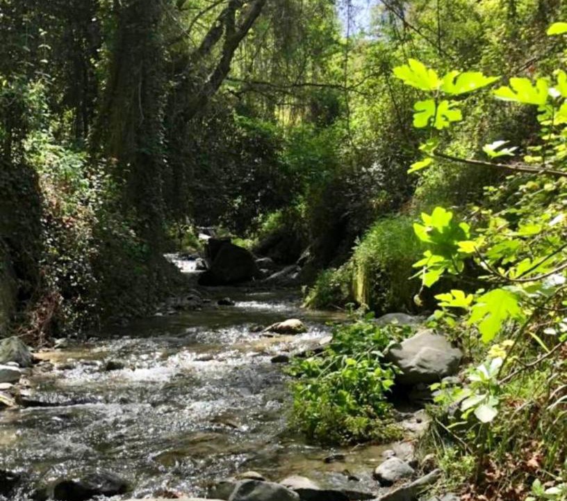 Photo of Others in Kalopanayiotis