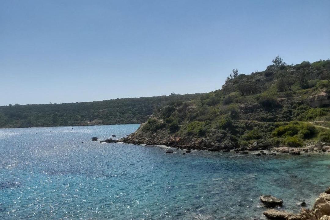 Photo of Others in Cape Greko