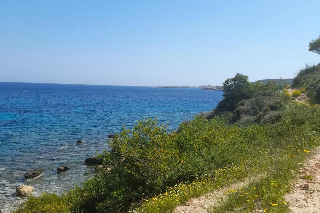 Photo of Others in Cape Greko