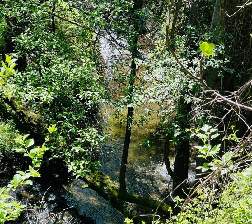 Photo of Others in Kalopanayiotis