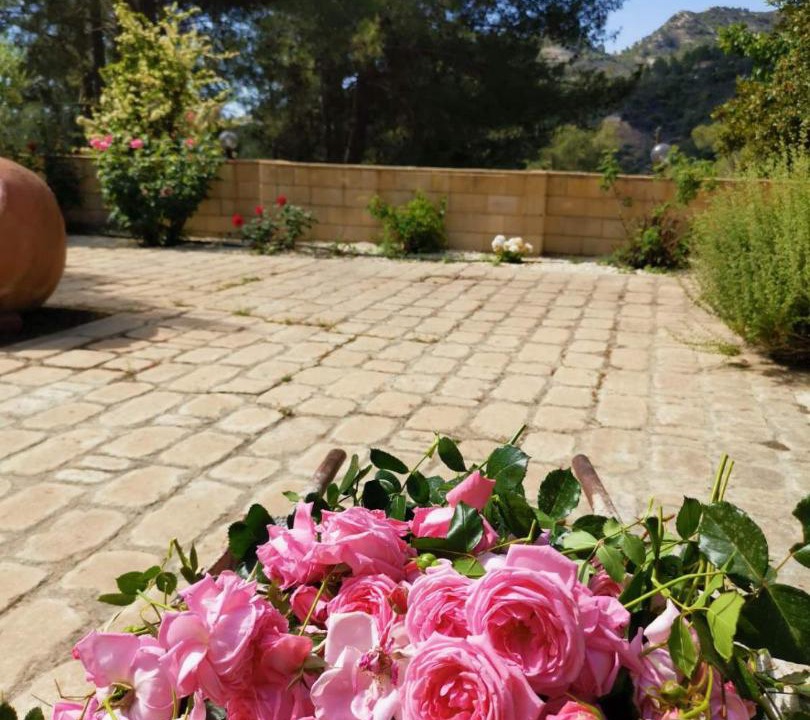 Photo of Others in Agios Mamas