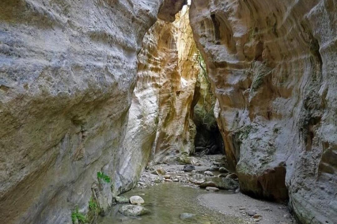 Photo of Others in Pegeia