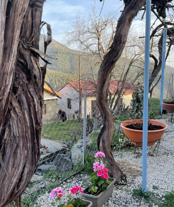 Photo of Others in Prodromos