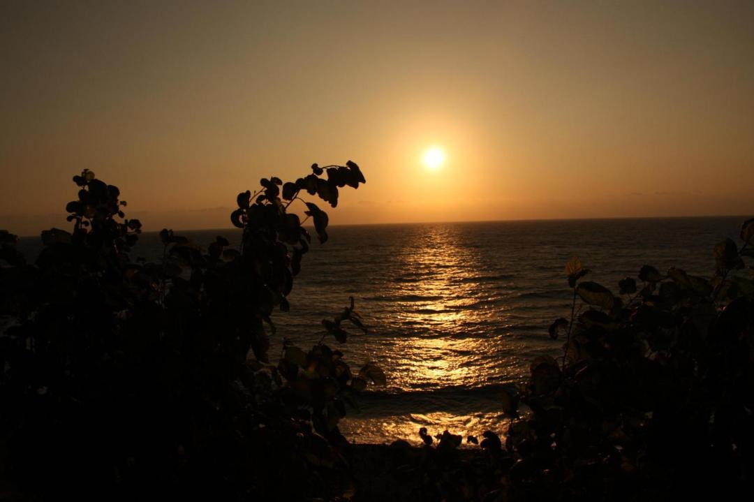 Photo of Others in Pomos