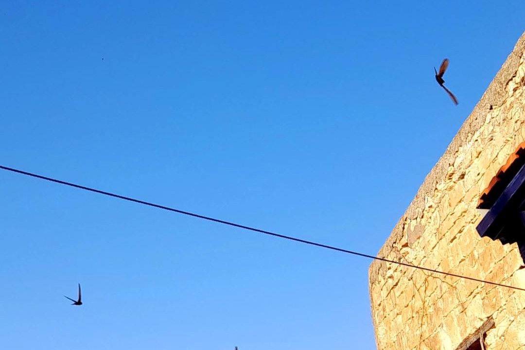 Photo of Others in Vouni