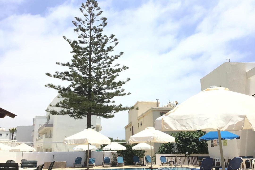 Photo of Others in Ayia Napa