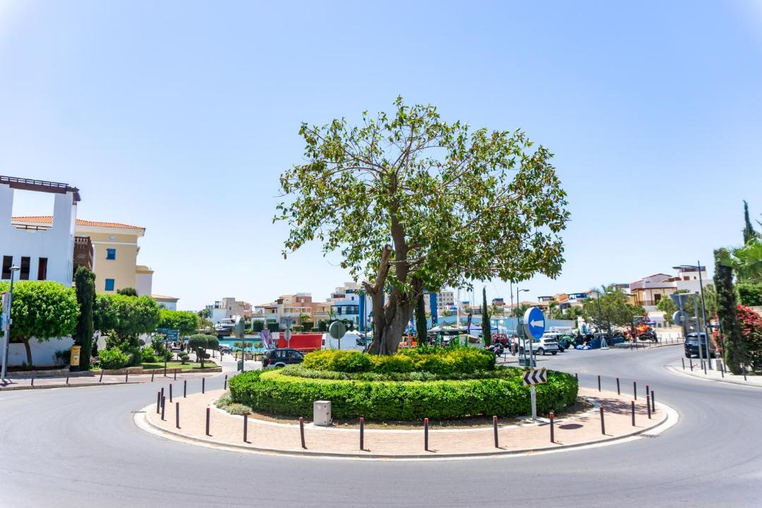 Photo of Others in Limassol