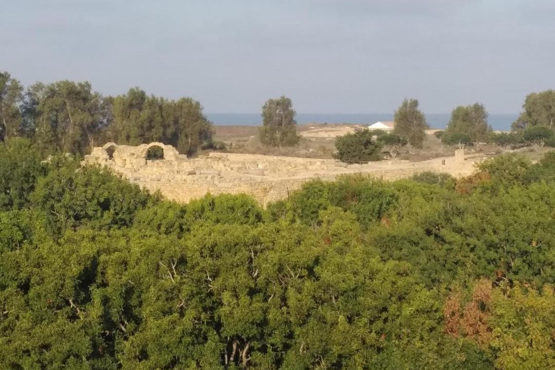 Photo of Others in Paphos