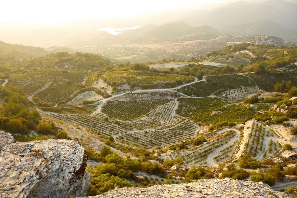 Photo of Others in Panagia