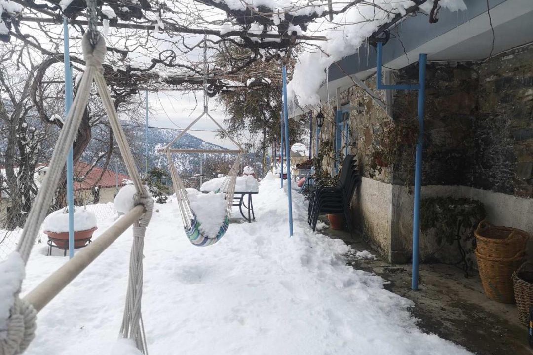 Photo of Others in Prodromos