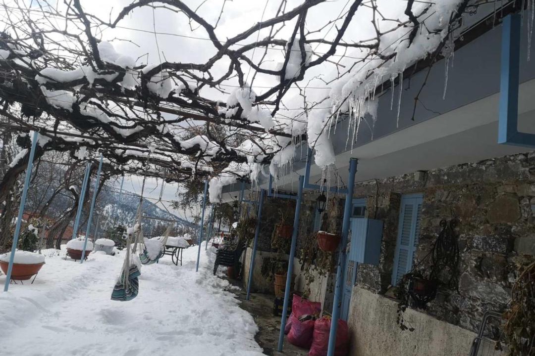 Photo of Others in Prodromos