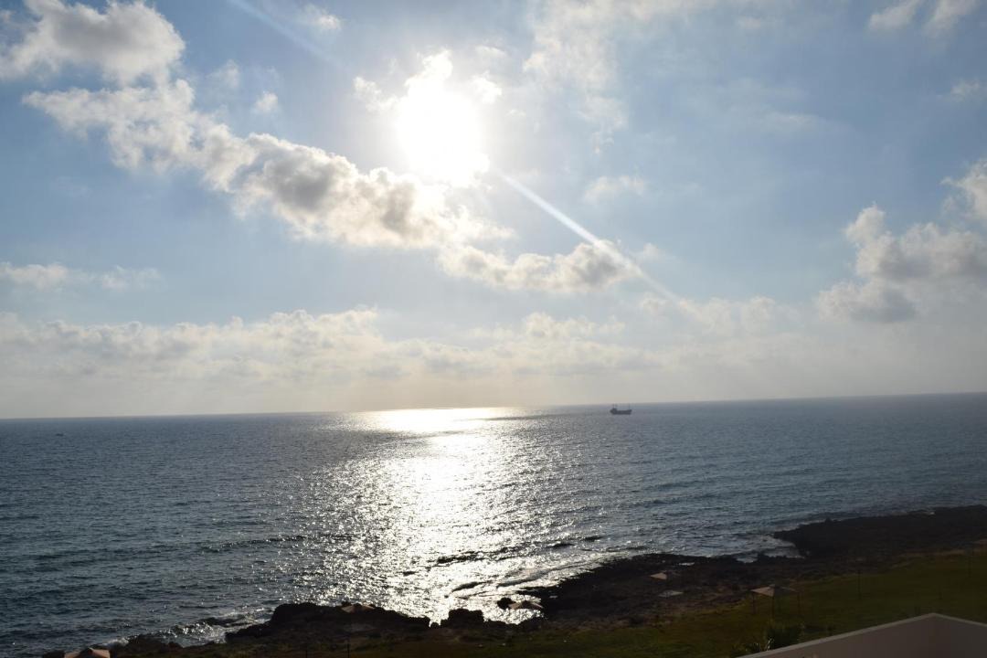 Photo of Others in Paphos