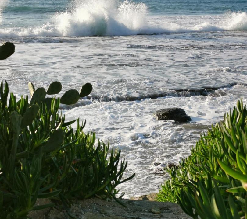 Photo of Others in Ayia Marina Chrysochous