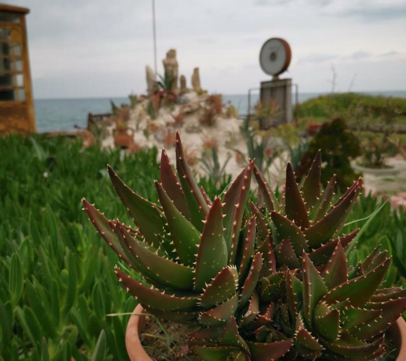Photo of Others in Ayia Marina Chrysochous