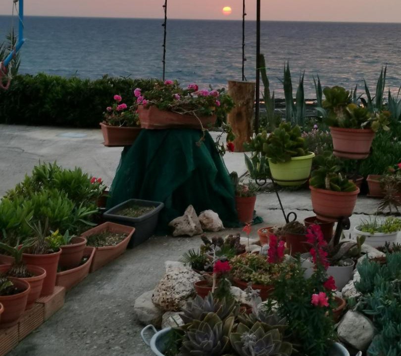 Photo of Others in Ayia Marina Chrysochous