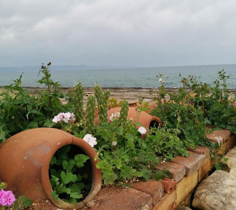 Photo of Others in Ayia Marina Chrysochous