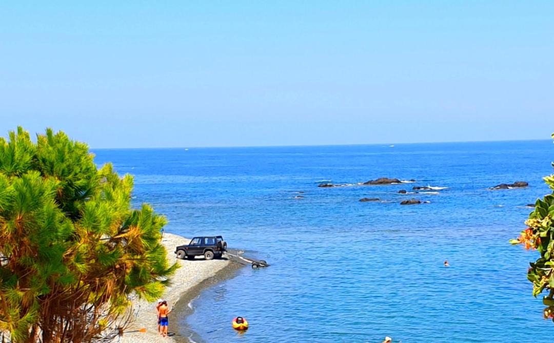 Photo of Others in Pomos