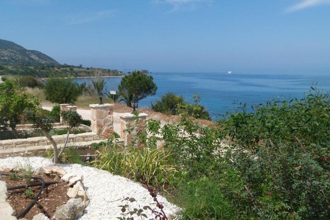 Photo of Others in Neo Chorio