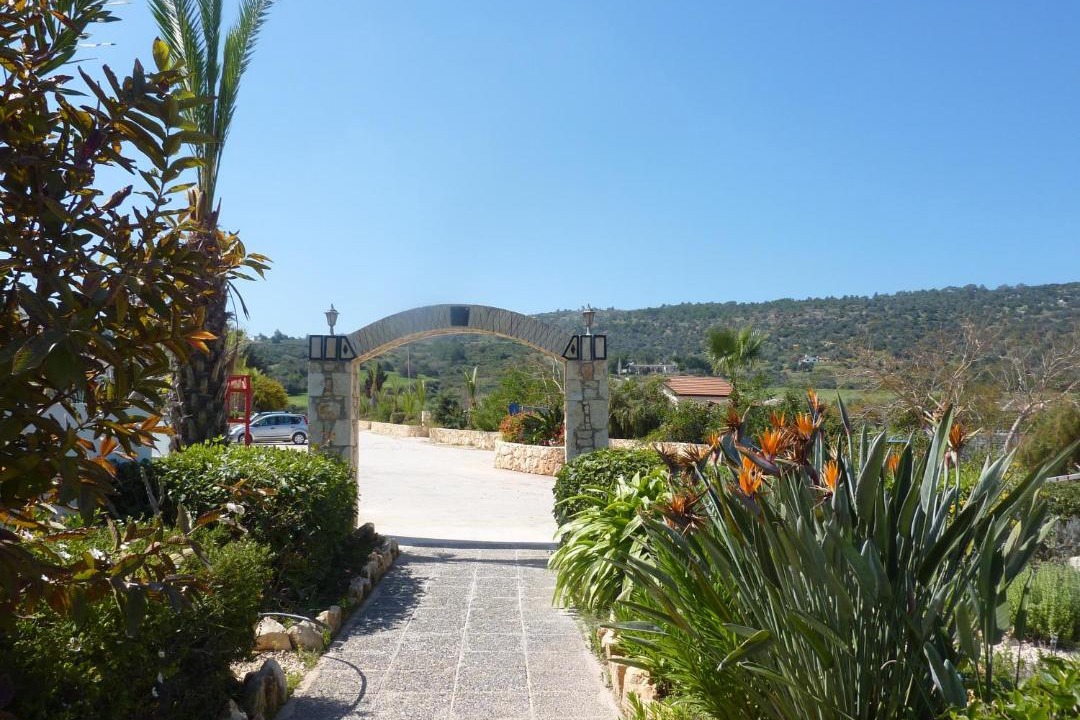 Photo of Others in Neo Chorio
