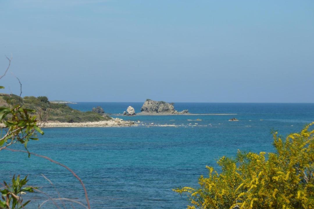 Photo of Others in Neo Chorio