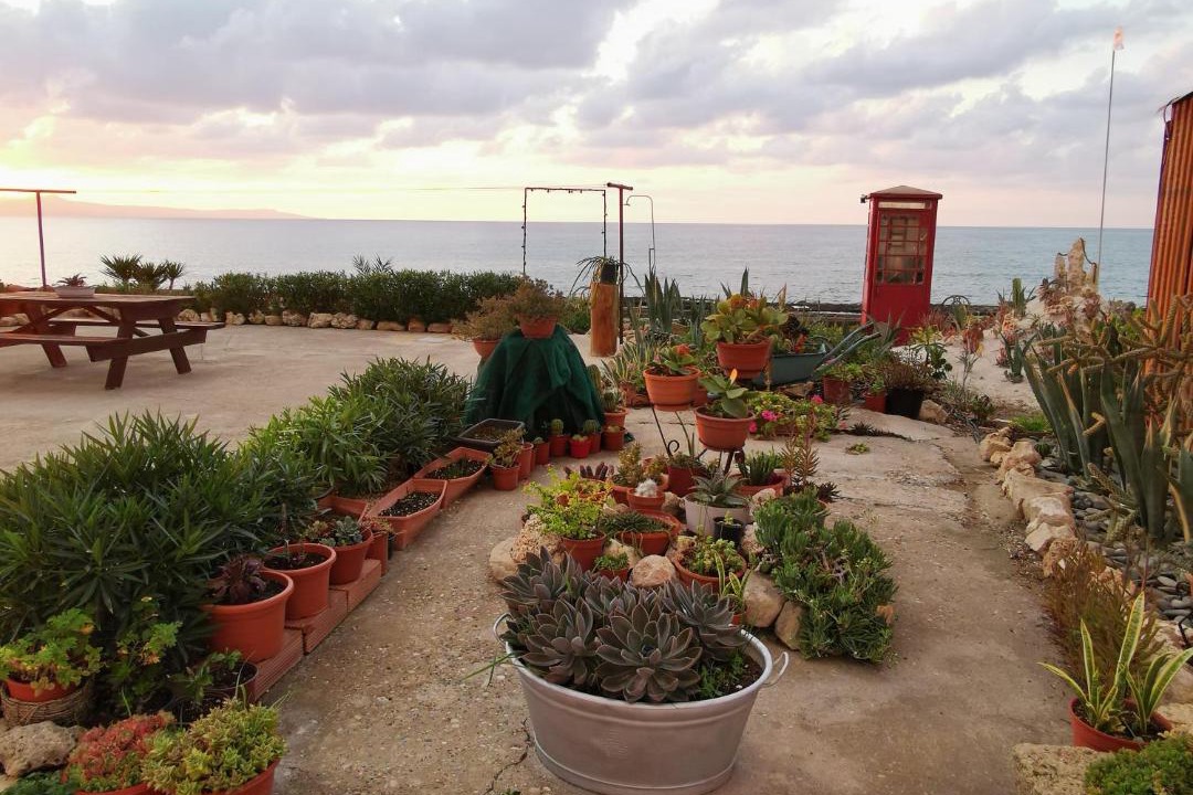 Photo of Others in Ayia Marina Chrysochous