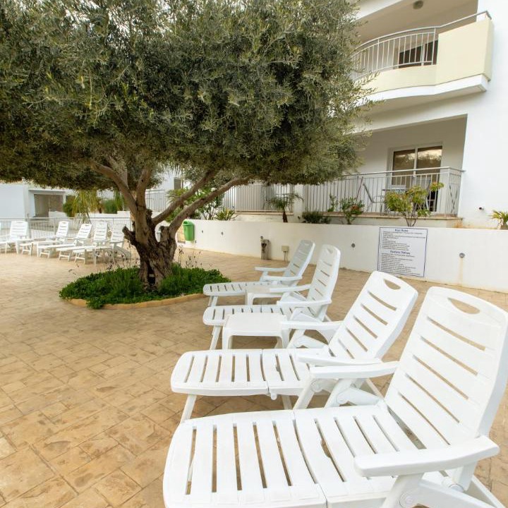 Photo of Others in Pyla