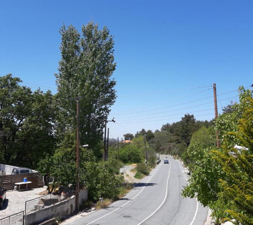 Photo of Others in Platres