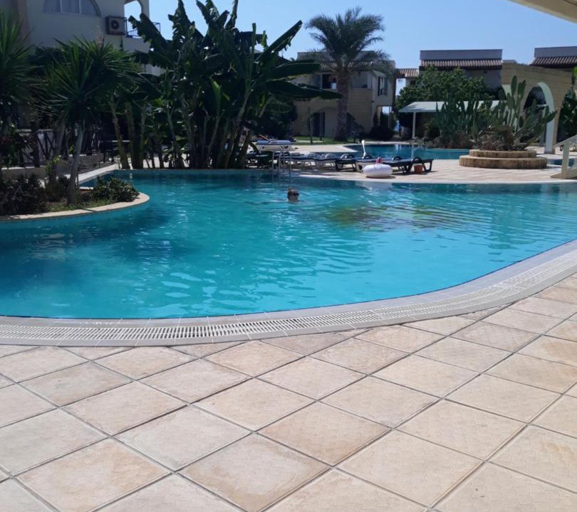 Photo of Others in Gastria