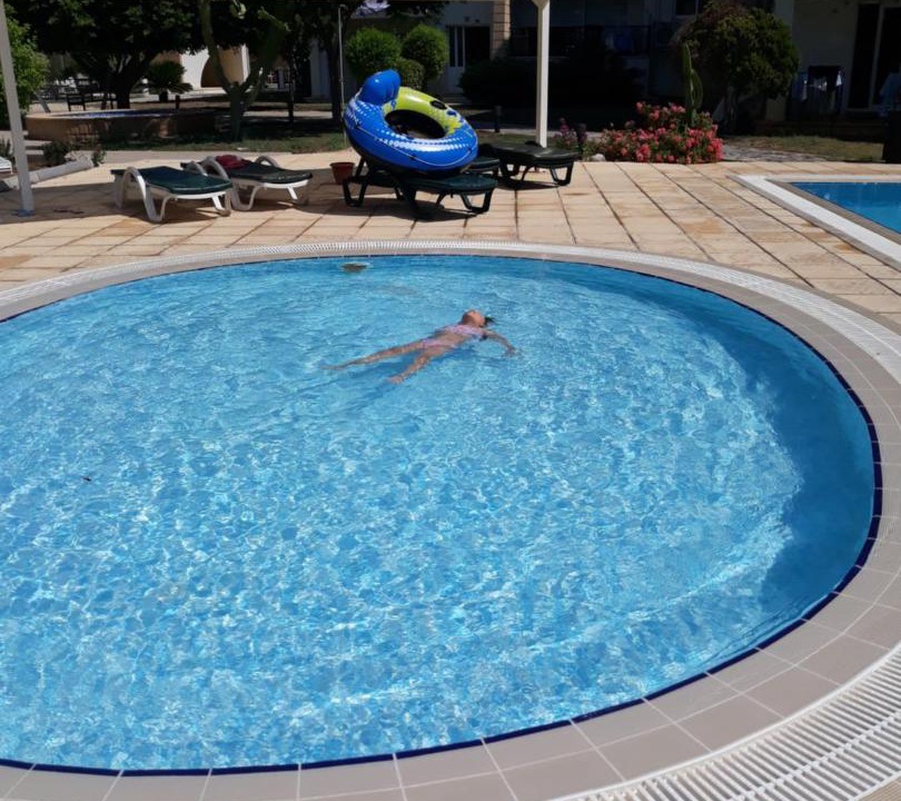 Photo of Others in Gastria