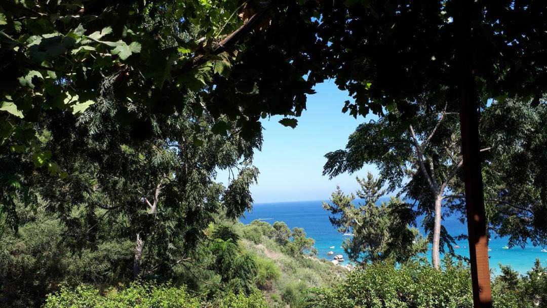 Photo of Others in Cape Greko