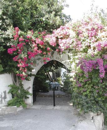 Photo of Others in Pissouri