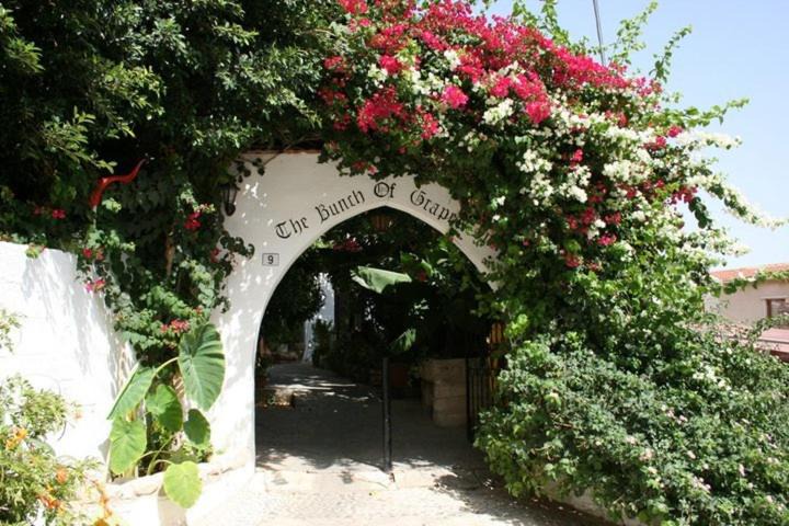 Photo of Others in Pissouri