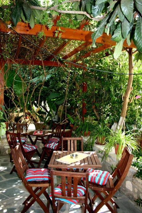 Photo of Others in Pissouri