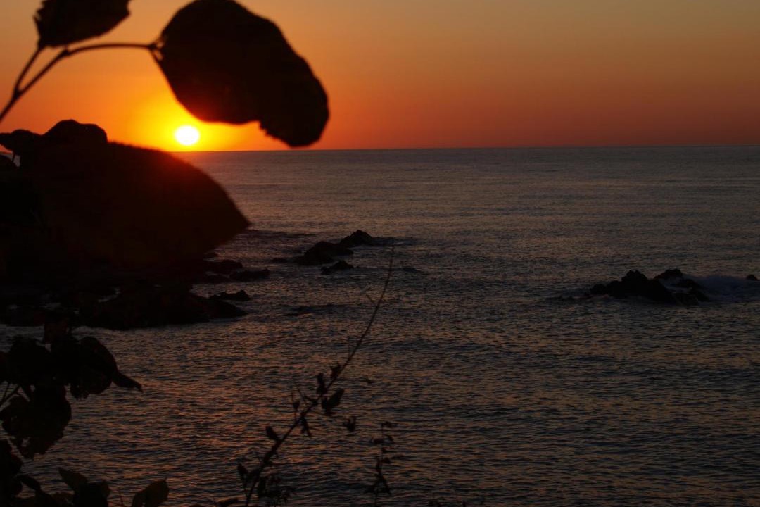 Photo of Others in Pomos