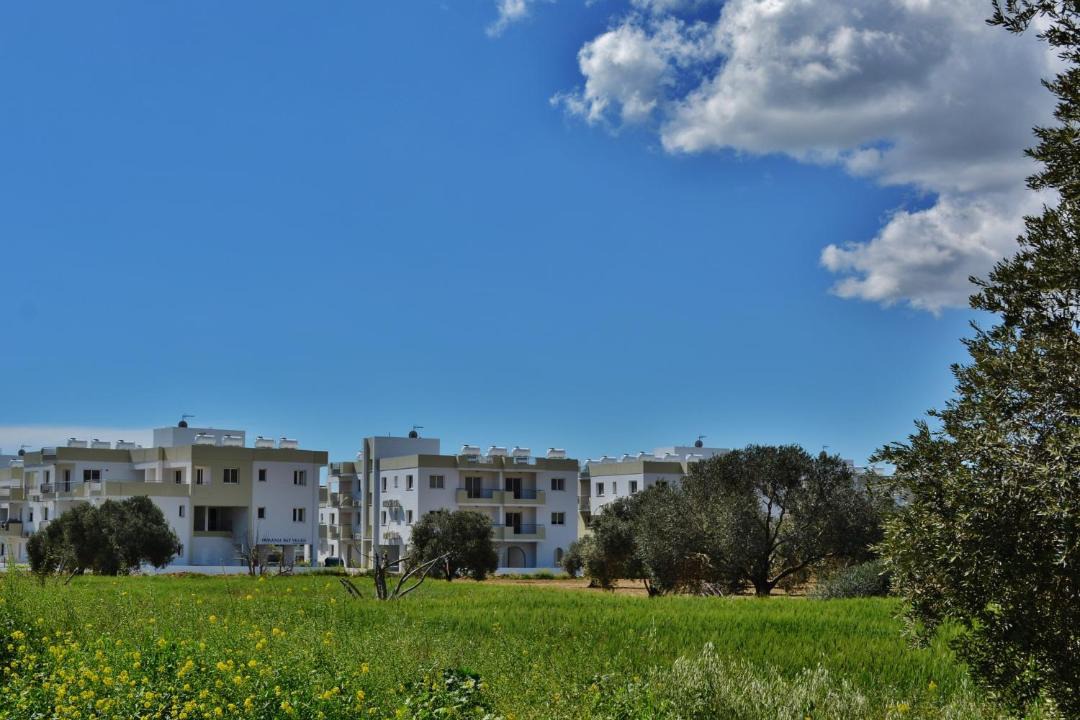 Photo of Others in Pyla