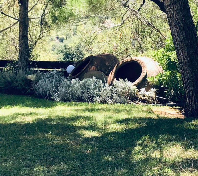 Photo of Others in Koilani