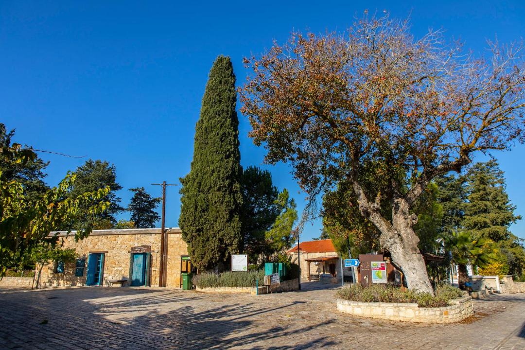 Photo of Others in Pano Arodhes